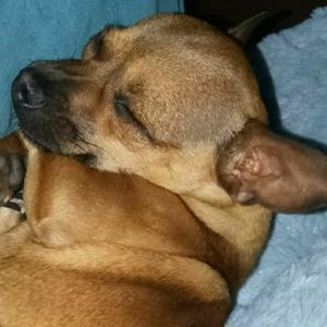 Meet your Posher, Gaby